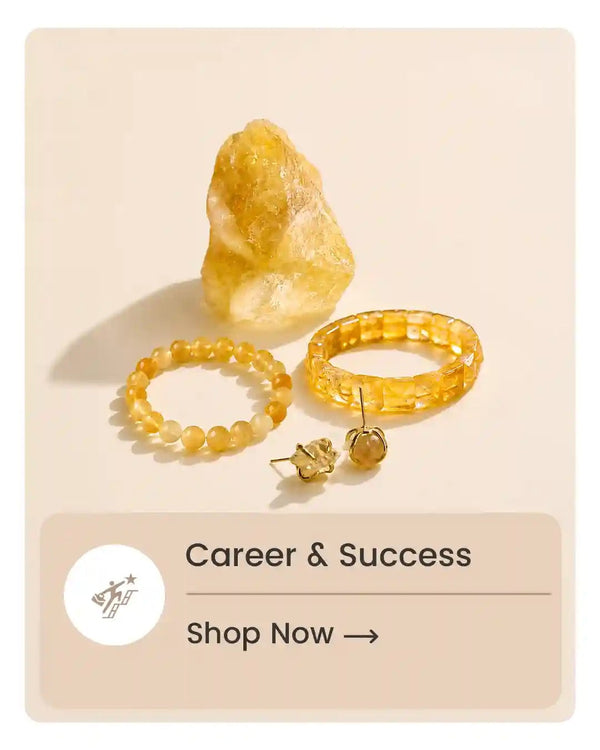 Career & Sucess