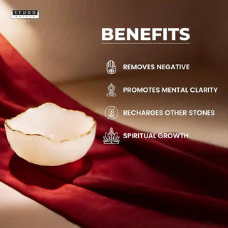 Money Bowl