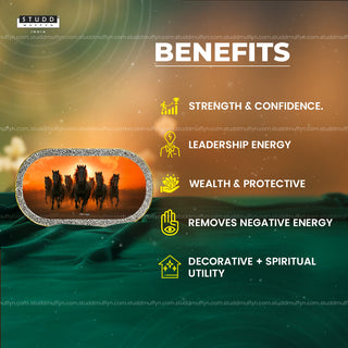 7 Black Horses Pyrite Plate [Capsule Frame]