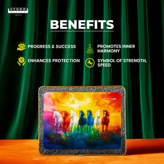 7 Rainbow Richie Rich Horses of Harmony With Gold Frame [Rectangle Shape]