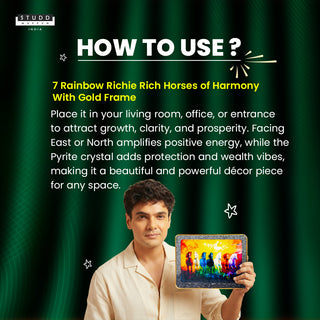 7 Rainbow Richie Rich Horses of Harmony With Gold Frame [Rectangle Shape]