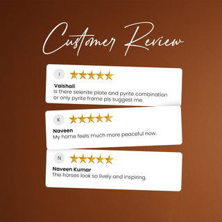 7 White Horses Pyrite Plate [Capsule Frame]