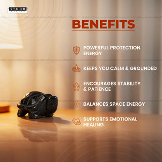 Black Obsidian Crystal Tortoise | Miniature Series