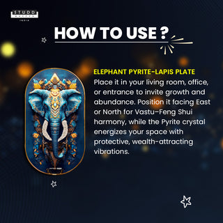 Elephant Pyrite-Lapis Plate [Capsule Frame]
