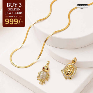 Turtle + Owl : Smart Success Combo