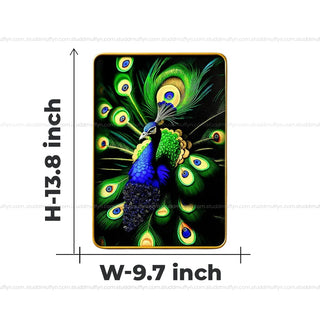 Lapiz Peacock By Studd Muffyn