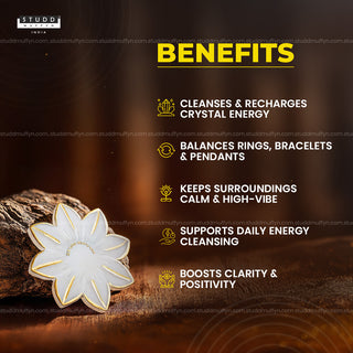 Lotus Bloom Selenite Coaster