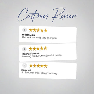 Moonlit Pyrite Owl [Rectangle Plate]