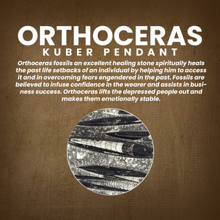 All-Natural Orthoceras Kuber Pendant