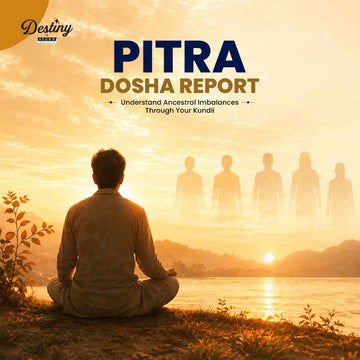 PITRA DOSHA REPORT