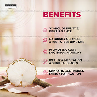 Pure Lotus Leaf Harmony Selenite Coaster