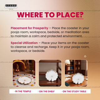 Pure Lotus Leaf Harmony Selenite Coaster