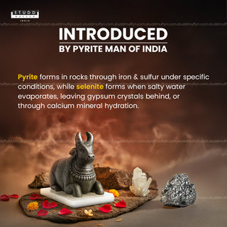 Pyrite Nandi Ji on Selenite Base