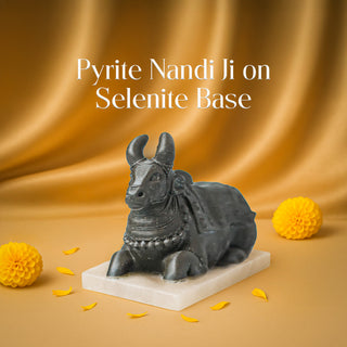 Pyrite Nandi Diwali Combo