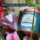 Nuskhe By Paras ✿ Skin Glow Tea ✿ Rhododendron Flower ✿