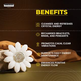 Sunflower Radiance Selenite Coaster