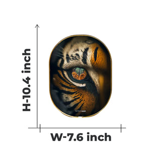 Tiger Eye Crystal Plate [Capsule Frame]