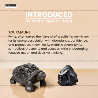 Tourmaline Tortoise For Wealth & Success