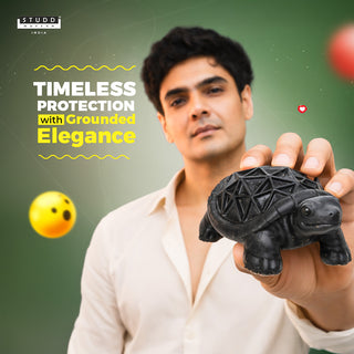 Tourmaline Tortoise For Wealth & Success