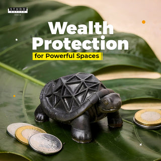 Tourmaline Tortoise For Wealth & Success