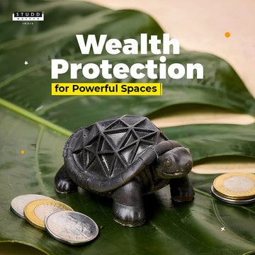 Tourmaline Tortoise For Wealth & Success