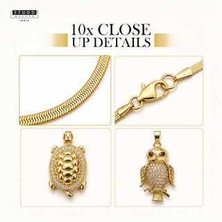 Turtle + Owl : Smart Success Combo