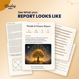 WEALTH & FINANCE REPORT