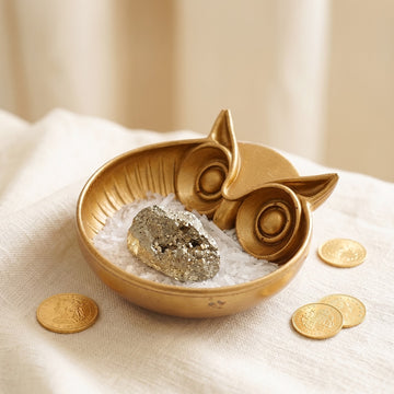 Wise Owl Money Bowl — Handcrafted Golden Resin Décor