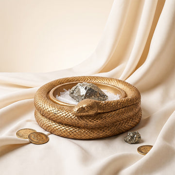 Serpent's Embrace Money Bowl