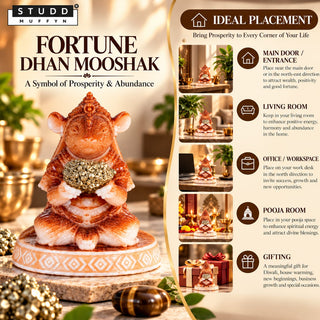 Fortune Dhan Mooshak with Natural Pyrite
