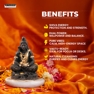 Pyrite Shiv Ji on Selenite Coaster I Miniature Series